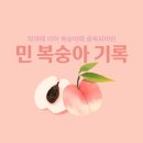 유명 복숭아 리뷰 &amp; 구매하는법 #내돈내산 #복게팅