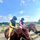 한동리만두 이미지