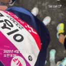 제3회 이순신 백의종군길 마라톤 하프 도전 후기