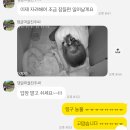 사천 강아지 호텔링 후기｜삼천포 댕글마을 7박 8일 첫 호텔링 솔직 리뷰