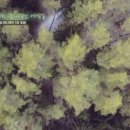 영모개발