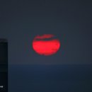 [평생학습관] 나를 지키는 정신건강 - 생애주기별 우울증 (계양구정신건강복지센터 연계) | 청년취업과정에서 자살원인과 대책