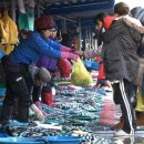 주문진항문어 이미지