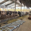 오산축사 이미지