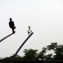 도심의 쉼터 이미지