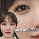 아이래쉬미 네이버블로그