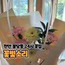 색깔 | 천안 불당동 24시 꽃집 꽃빛소리 내돈내산 후기