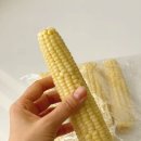 비옥상회 이미지