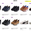 푸마성서 이미지