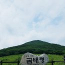 인제 연가리 오토캠핑장 펜션 이미지