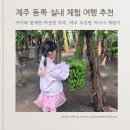 햇살나라유치원 | 제주 서귀포 남원 유진팡 바나나 체험 후기, 아이와 함께한 자연 속 힐링 타임