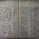 양반의 일상과 기호 : 담배와 음식