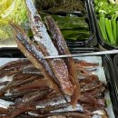 하모니빌라 | 과메기 제철 포항 구룡포 하모니과메기