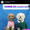 희희횸횸 이미지