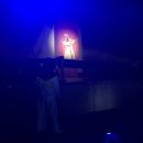 사직유치원 Daum카페