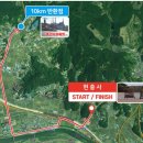 송곡2리 | 아산 이순신마라톤 10km 후기