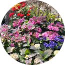 경기도 수원시 권선구 세화로169번길 45 (서둔동, 서호연립) 네이버블로그