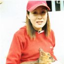 겟소 이미지