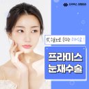 프라미스성형외과의원 이미지