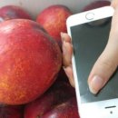 오빠야농장 이미지