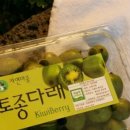 자연마중