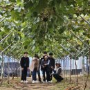 대장농원 이미지