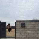 장화리 시골집 네이버블로그