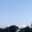 여주-0528 이미지