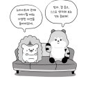 아이쿠카 뉴라이트 논란 이미지