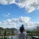 [세종취미공방/제스모나이트공방] 고이× 바야흐로린 제스모나이트 이오난사 미니화분 클래스 후기