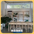 도시 강아지 | 🌿 충북혁신도시 감성 카페, [하프앤하프] 강아지랑 함께 방문 후기! ☕️