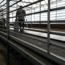 불소농장 이미지