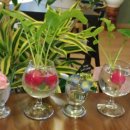 고창 다온 이미지