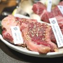 야마짱