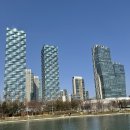 중앙해수랜드 | 인천 벚꽃 명소 송도 센트럴파크 벚꽃 실시간 후기｜개나리까지 함께 핀 봄 풍경 산책