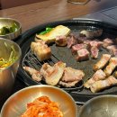 쿰 | 세종 고운동 맛집 추천 : 삼겹살 목살 맛있는 고깃집 쿰 내돈내산 후기