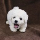 몽글몽글 이미지