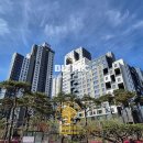 금화공인중개사사무소 이미지