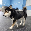 견학생스쿨 이미지