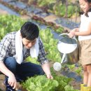 상단농장 이미지