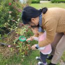 포레나어린이집 이미지