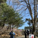 도사곡리 임도길 간이화장실 | 진달래와 운해를 동시에 보고 온 후기_강화도 고려산 진달래축제🌸