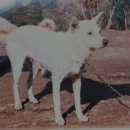 달봉이목장 이미지