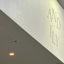 앤드일리Andily 이미지