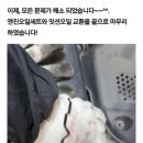 인하카마스타 이미지