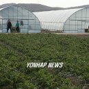 통일농산 - 양양군 남문5길 15-12 | 통일농산