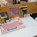 바보기계 | 콕스 기계식 저소음 키보드 사무용 추천 COX CS108 벚꽃축 키덕투어 팝업 수원