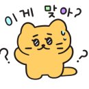 모브플렉스웰니스클럽