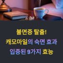 숙면을 부르는 허브이야기 | 캐모마일 효능과 숙면에 도움되는 허브 차 이야기