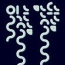 문학에서 삶 읽기 이미지